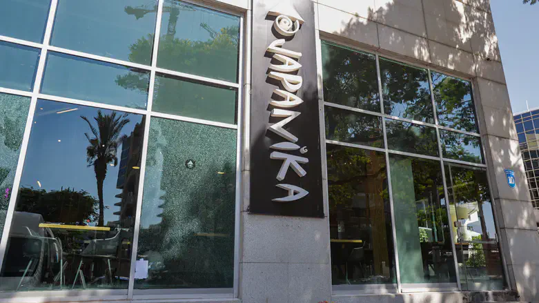 Damaged Japanika branch in Herzliya