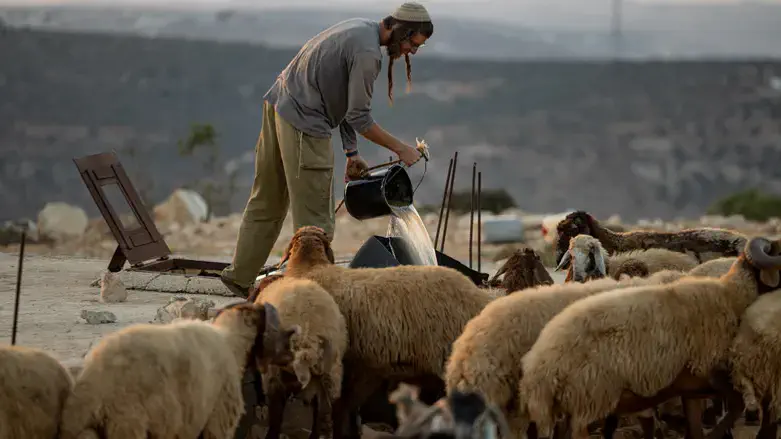 רועה יהודי באחת מהנקודות לזכרו של בניהו הי"ד