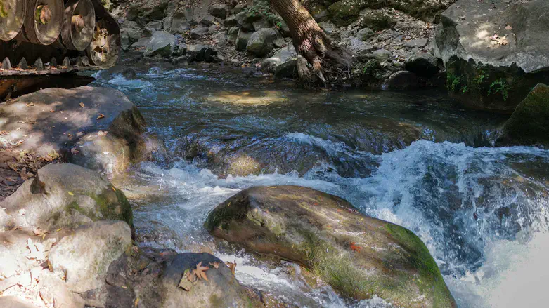 Banias