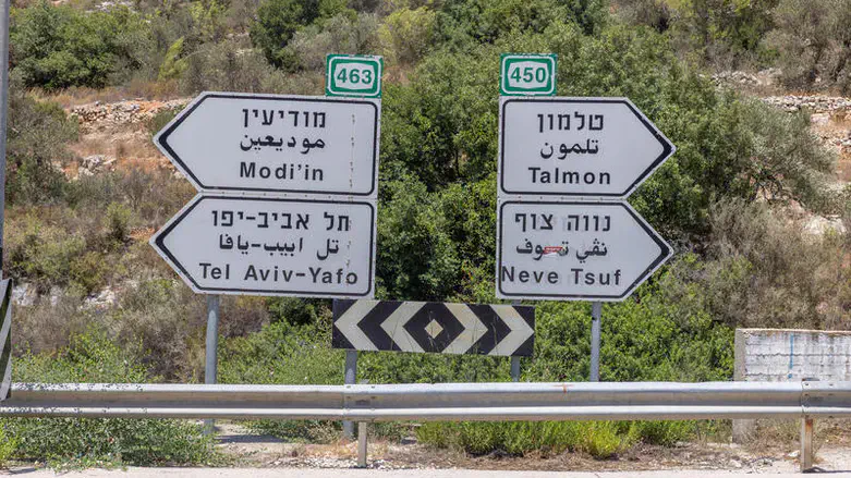 מהלך אסטרטגי להתיישבות
