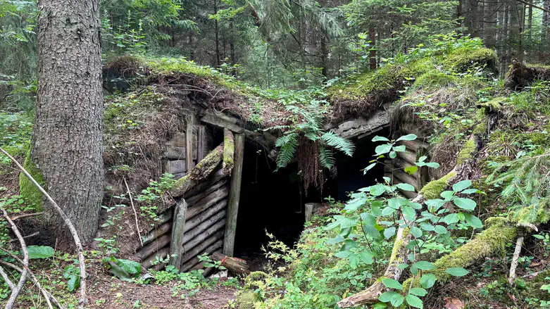 A partisan bunker is seen in Rūdninkai Forest