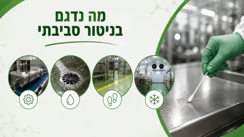 ליסטריה