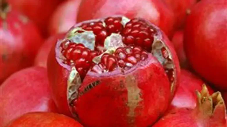 [pomegranates
