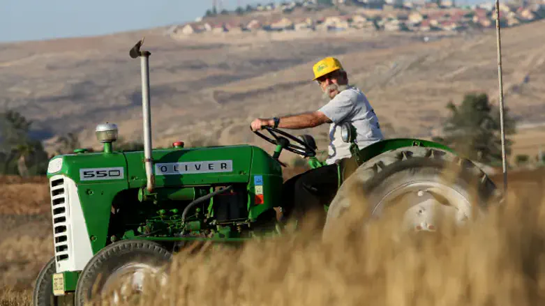 Strong community ties linked to lower mortality risk Israeli study finds