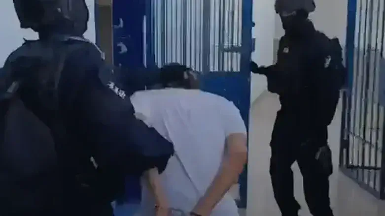 מתוך הסרטון