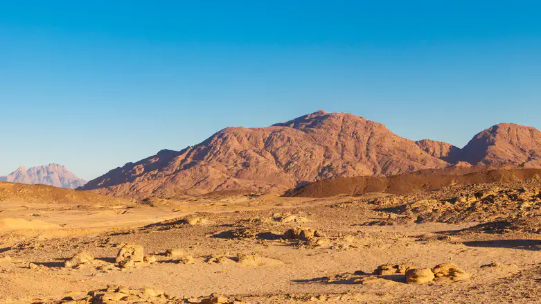 Egyptian desert (illustrative)