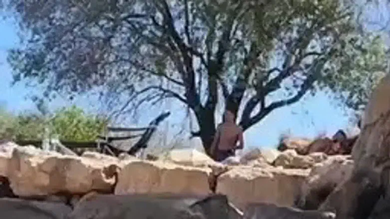 תיעוד הירי במעיין