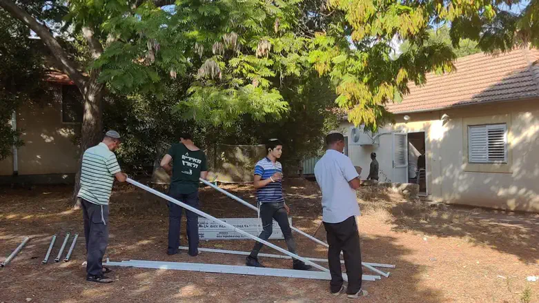 Building a sukkah