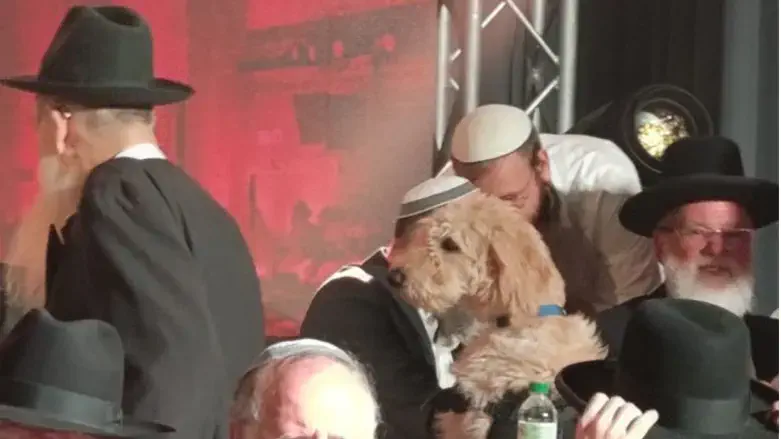 Rabbi Perl with his dog at the rabbis' dais