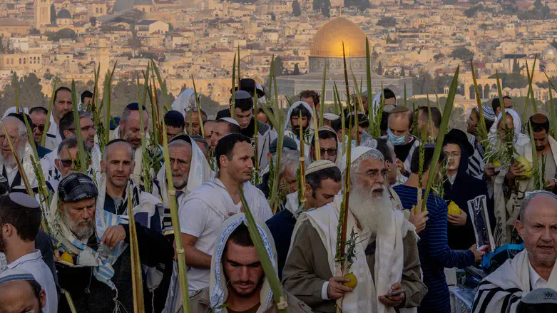 דוד מאיר בתפילה