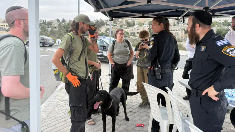 During the search