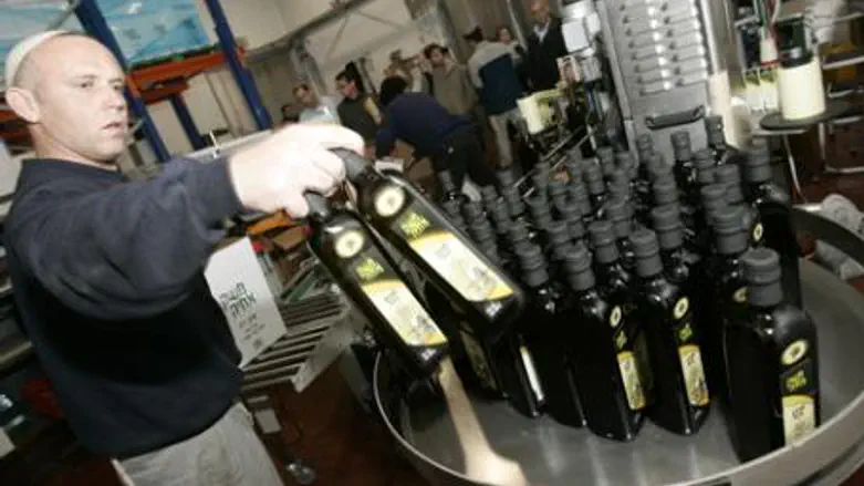 Kosher oil production