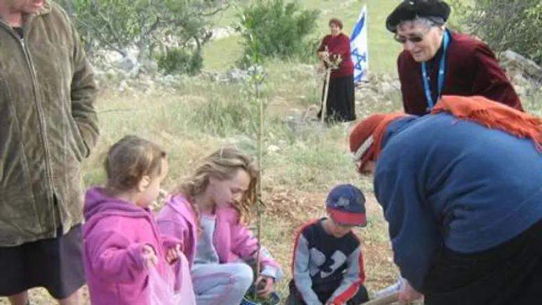 Activists Plant Trees on Lag Ba'Omer