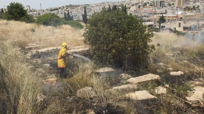 Flames beyond the fence