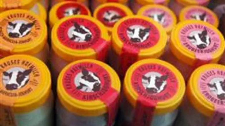 Koscheremilch yogurt