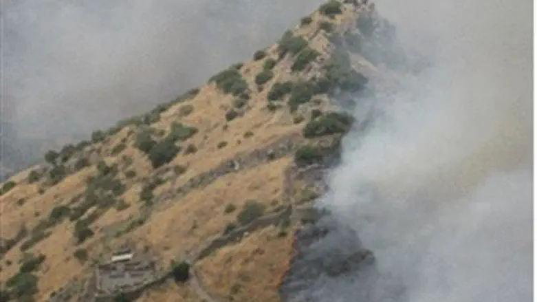 Gamla fire