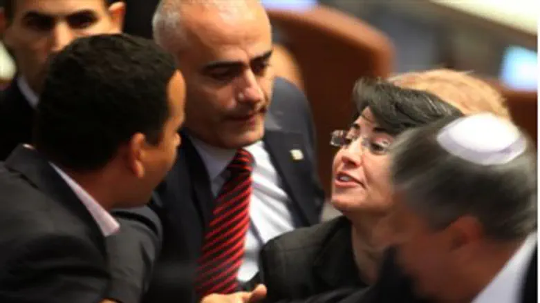 MK Yoel Hasson confronts MK Zoabi
