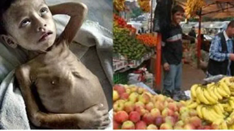 India (left) and Gaza (right)