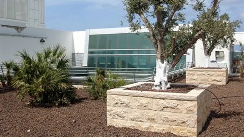 Roof top garden at ICD9