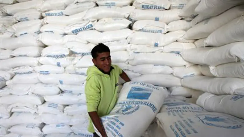 World Food Program aid (illustration)