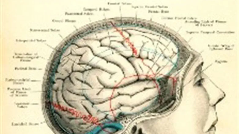 Pacemaker for the brain