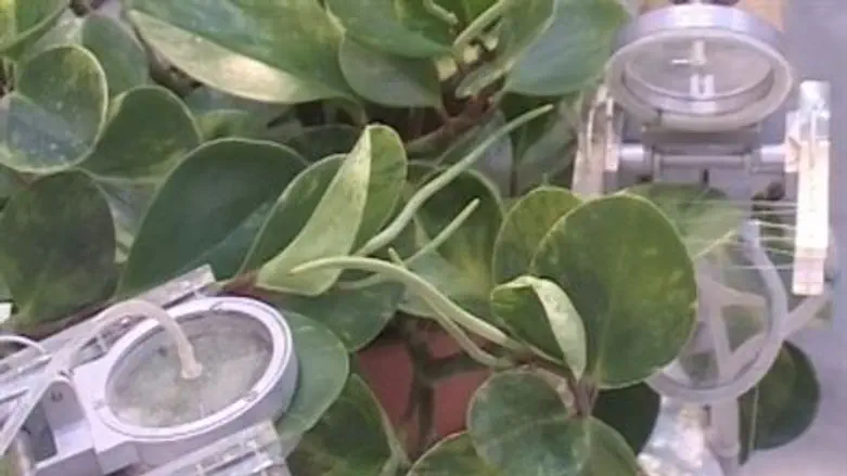 Special Technology by Katif Labs