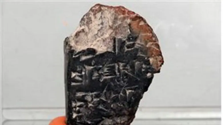The fragment
