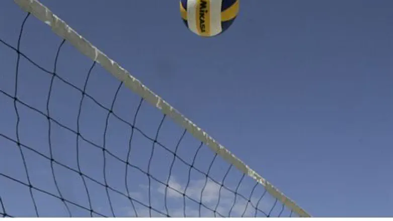 Volleyball (illustrative)