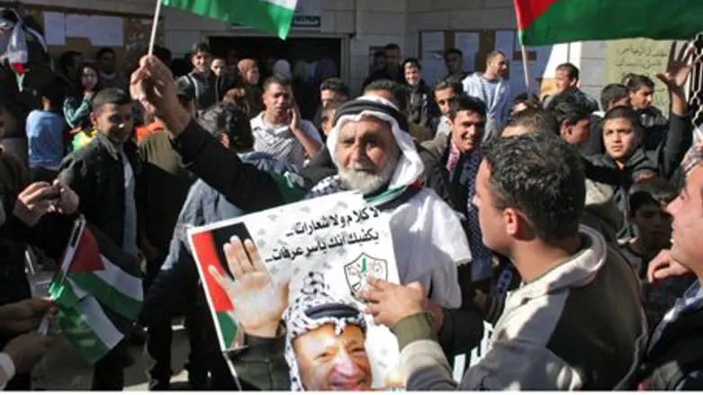 Yasser Arafat Supporter