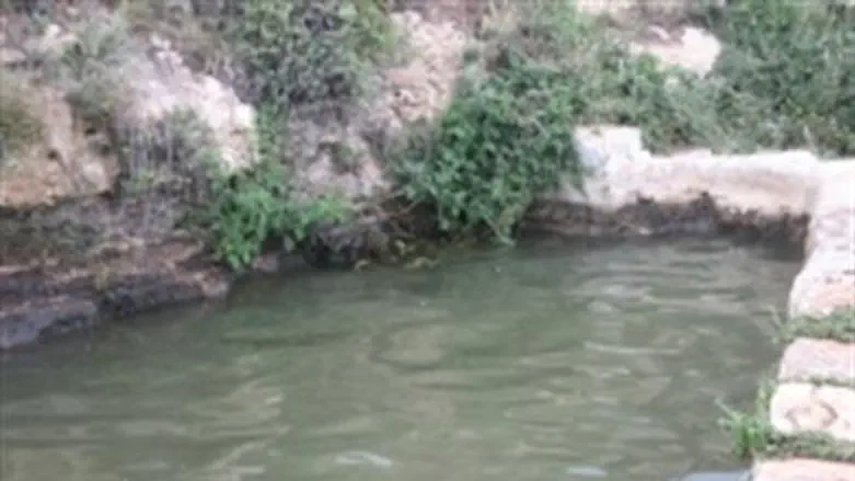 A Shomron pool