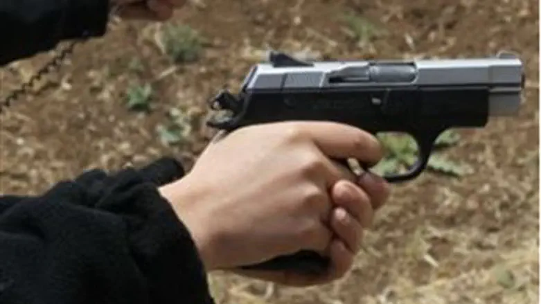 Handgun (illustrative)