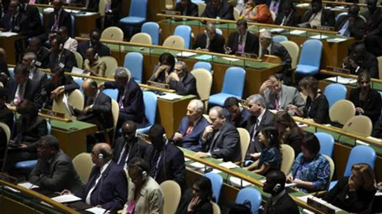 Delegates at the Millennium Goals summit