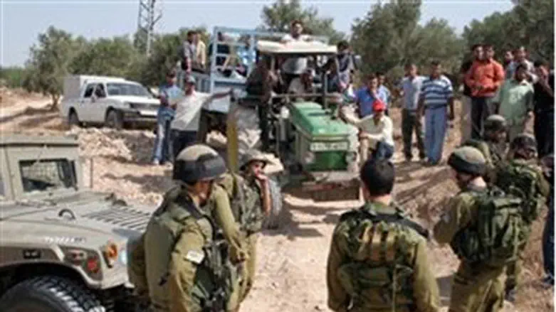 IDF supervises Arab olive harvest