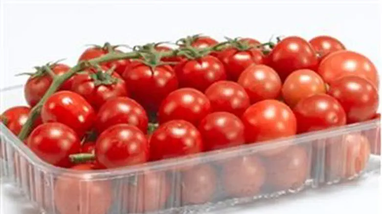 Tomatoes made in Israel