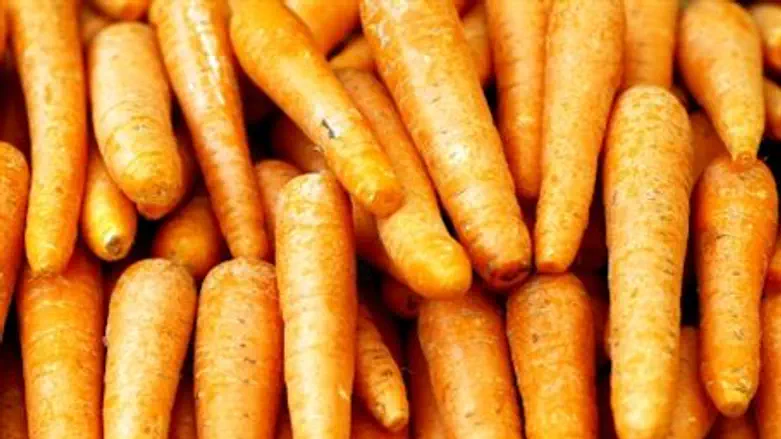 Carrots -a new Israeli specialty in Russia