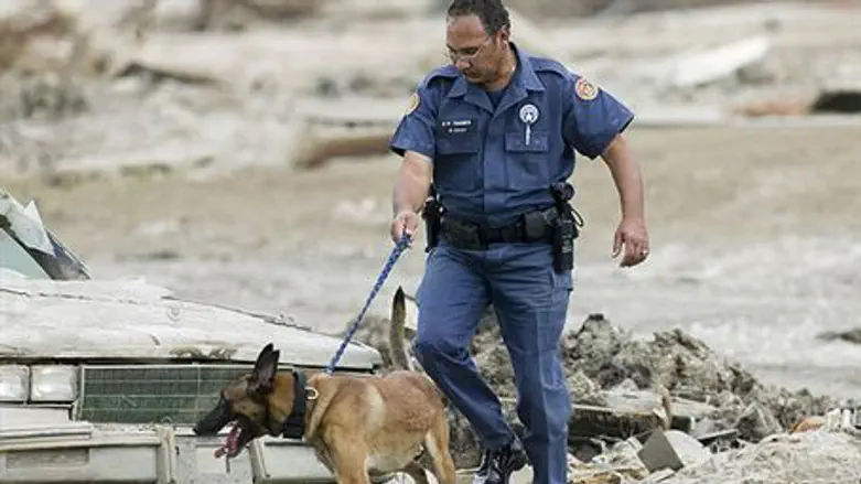 Sniffer dog at work (illustrative only)