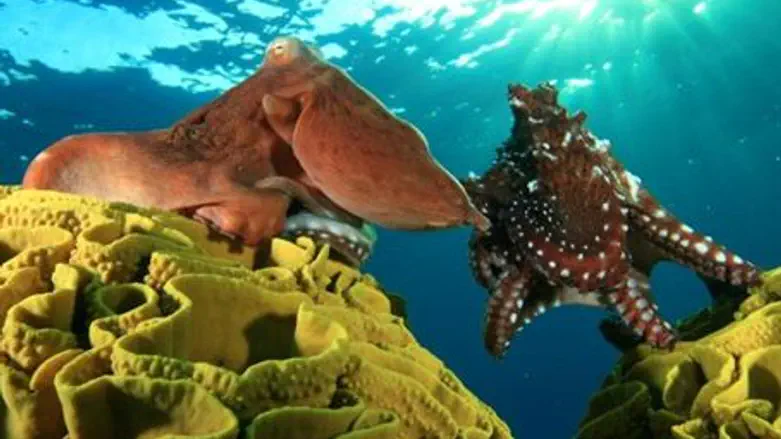 One of the winning photos (detail)