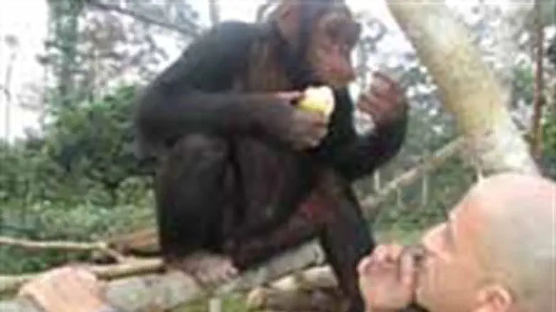 Avi Sivan in Cameroon