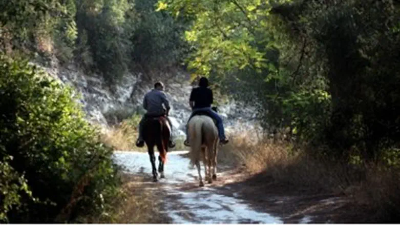 Horse riding in Ramot Menashe
