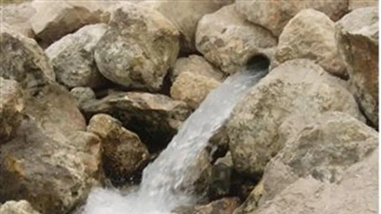 Sewage flowing into a stream