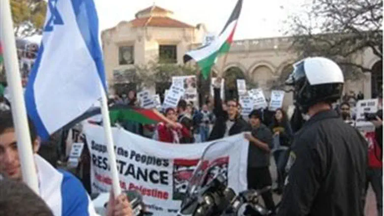 Counter Protests in San Diego