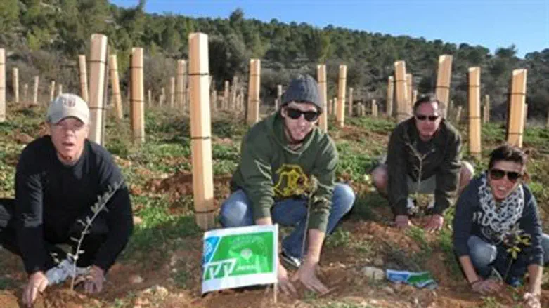 Hollywood stars plant trees