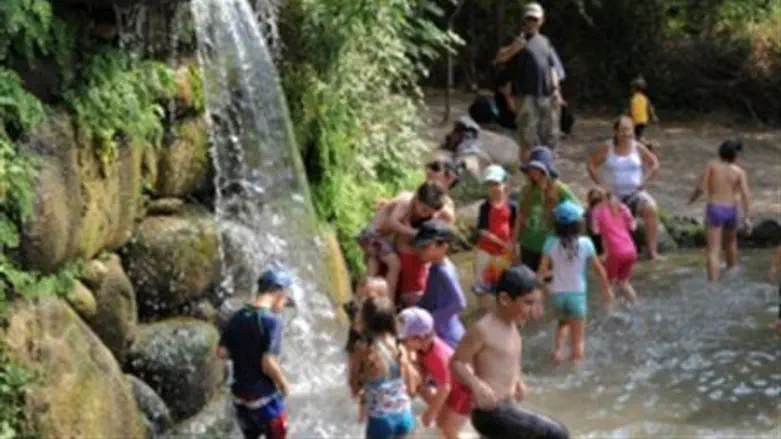 Golan Heights waterfall
