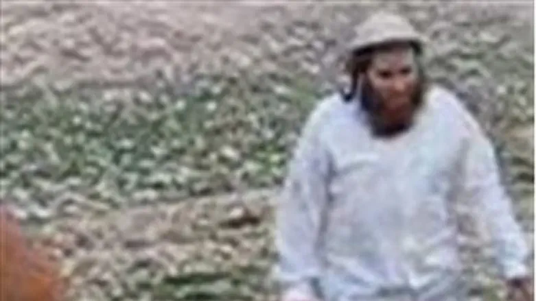 Terrorists (illustrative)