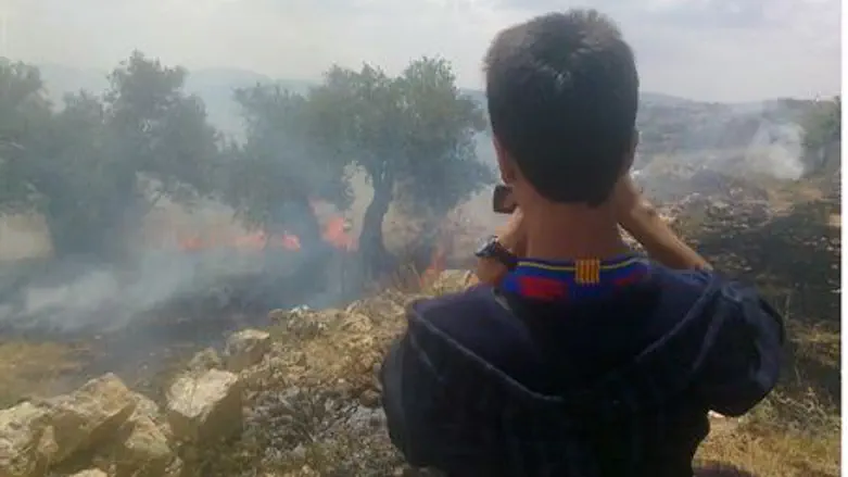 Arab Films Own Groves Burning