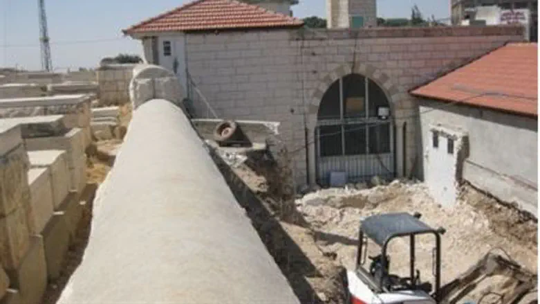 Growing: mosque on Mount of Oilves