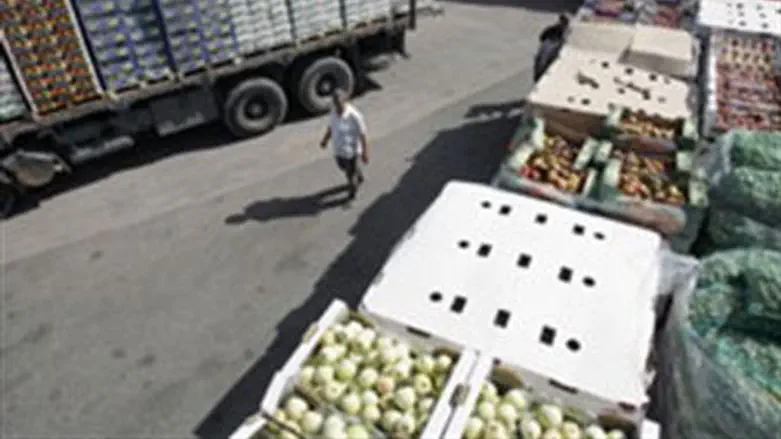 Aid to Gaza at the Kerem Shalom crossing