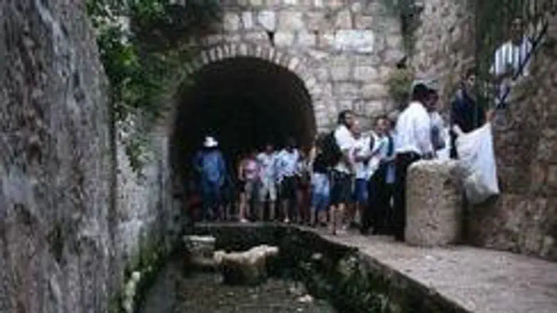Touring the City of David