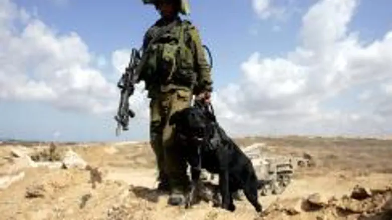 IDF soldier with dog