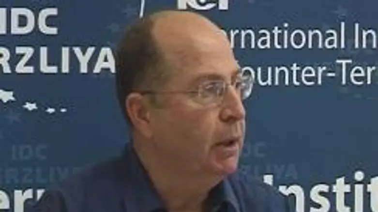 Vice PM Yaalon
